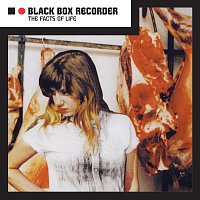 Black Box Recorder – The Facts Of Life