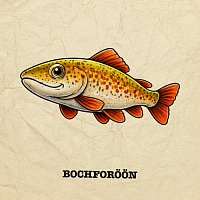 Přední strana obalu CD Bochforöön