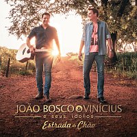 Joao Bosco & Vinicius E Seus Ídolos - Estrada De Chao