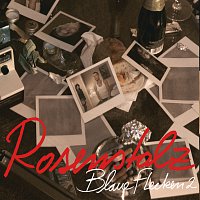 Rosenstolz – Blaue Flecken - Die Fanmixe [Remix Parts]