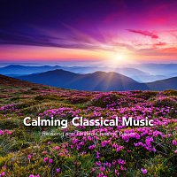Přední strana obalu CD Calming Classical Music: Relaxing and Chilled Classical Pieces
