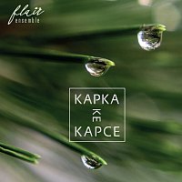 Ensemble Flair – Kapka ke kapce CD