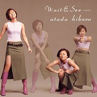 Hikaru Utada – Wait & See -Risk-