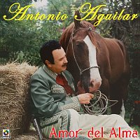 Přední strana obalu CD Amor Del Alma