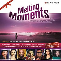 Asha Bhonsale, Sunidhi Chouhan, MC Hammer, Lalitya Munshaw, Kumar Sanu, Arnab C. – Melting Moments