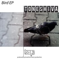 Přední strana obalu CD Bird EP