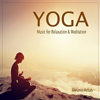 V, A+ – Yoga: Music for Relaxation & Meditation