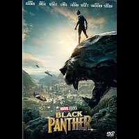 Různí interpreti – Black Panther