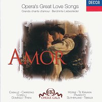 Přední strana obalu CD Amor - Opera's Great Love Songs