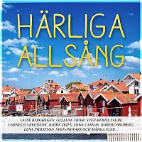 Přední strana obalu CD Harliga allsang - var basta sommar