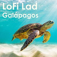 Přední strana obalu CD Galapagos