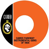 Cameo Parkway Instrumental Gems Of 1964