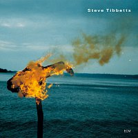 Steve Tibbetts – A Man About A Horse