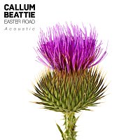 Callum Beattie – Easter Road [Acoustic Mix]