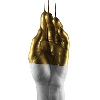 Apollo LTD – Gold