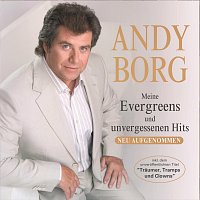 Přední strana obalu CD Meine Evergreens und unvergessenen Hits