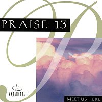 Přední strana obalu CD Praise 13 - Meet Us Here