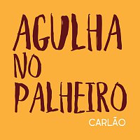 Agulha No Palheiro