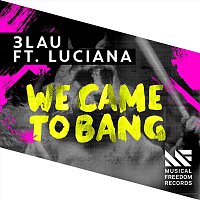 We Came To Bang (feat. Luciana) [Radio Edit]