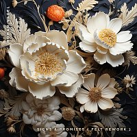 Roman Nagel – Signs & Promises [Felt Rework]