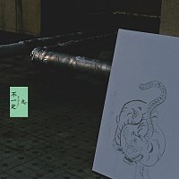 - - – tiger