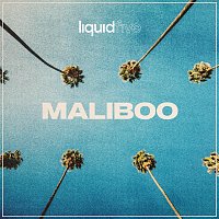 liquidfive – Maliboo