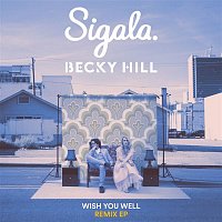 Sigala & Becky Hill – Wish You Well (Remixes)