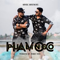 Havoc Pullingo