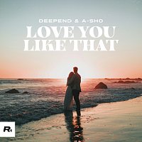 Deepend, A-SHO – Love You Like That