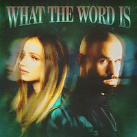 Jackie Hollander, Malóne, Baby Bash – What The Word Is