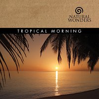 David Arkenstone – Tropical Morning