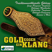 Přední strana obalu CD Goldegger Einklang