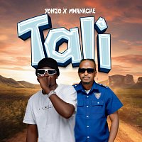 Přední strana obalu CD Tali (feat. Mwanache)