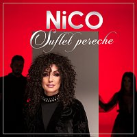 Nico – Suflet pereche