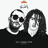 Zenden Lavon, Aeli – Gemini