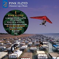 Pink Floyd – A Momentary Lapse of Reason (Remixed & Updated)) (Deluxe Edition)