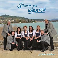 Stimmen aus Karnten – 30 Jahre Jubiläum
