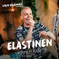 Elastinen – Keinutaan (Vain elamaa kausi 10)