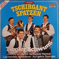 Přední strana obalu CD Tiroler Schwung