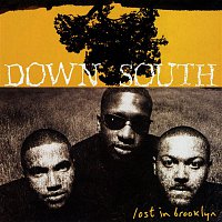 Down South – Lost In Brooklyn