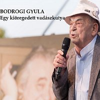 Egy kiöregedett vadászkutya