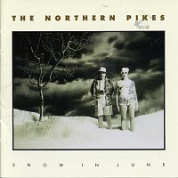 The Northern Pikes – Snow In June