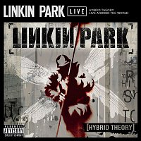 Hybrid Theory Live Around The World