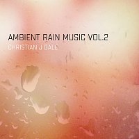 Ambient Rain Music [Vol. 2]