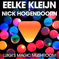 Eelke Kleijn – Luigi's Magic Mushroom