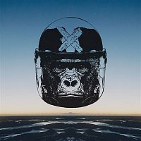 Apina – Infektiko
