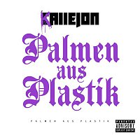 Přední strana obalu CD Palmen aus Plastik