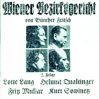Gunther Fritsch – Wiener Bezirksgericht (2. Folge)