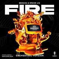 Meduza, Bruce Liu – Fire [Orchestral Version]