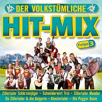 Různí interpreti – Der volkstumliche Hit-Mix - Folge 3